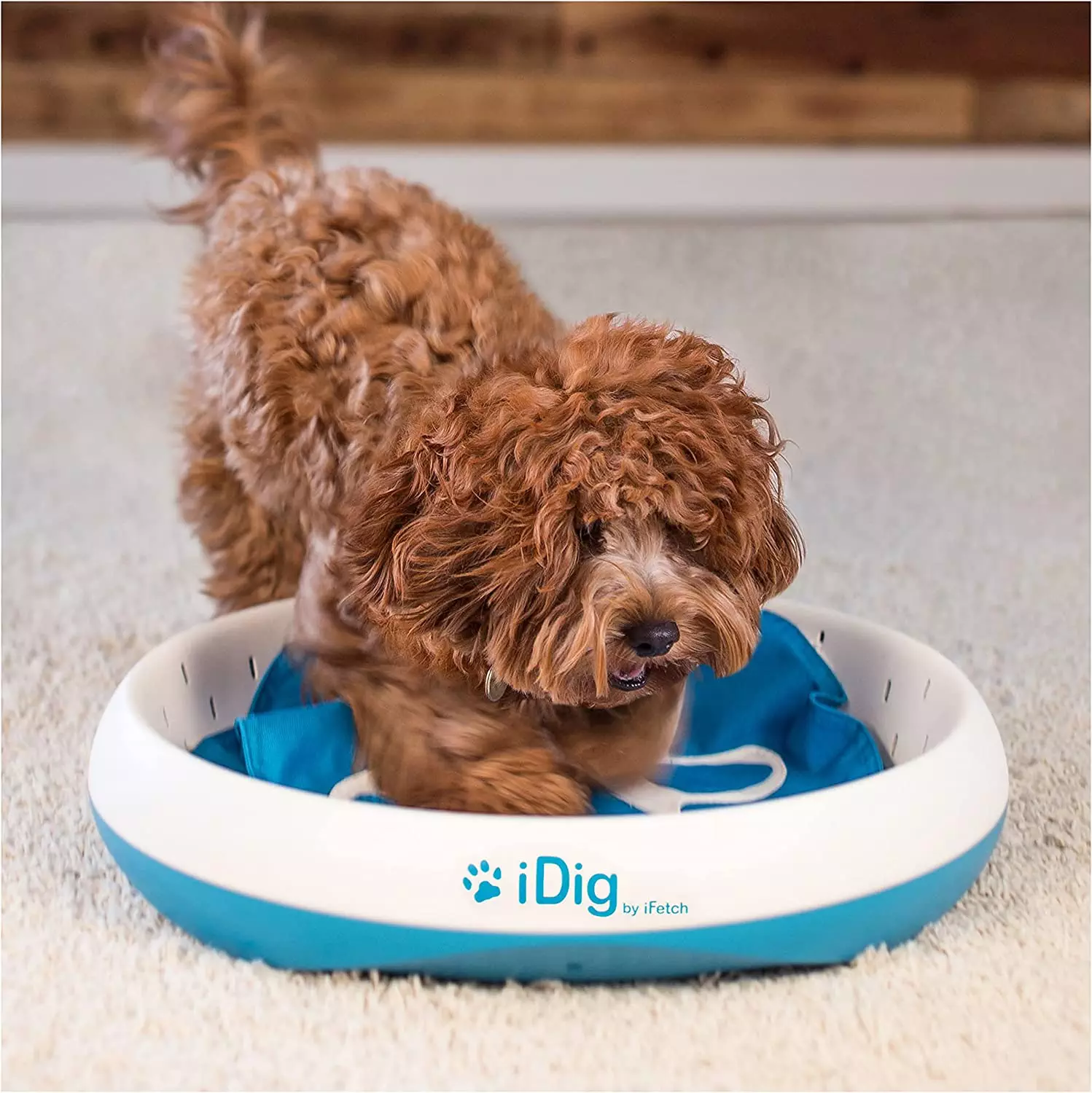 iDig Digging Toy by iFetch
