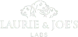 Footer Logo